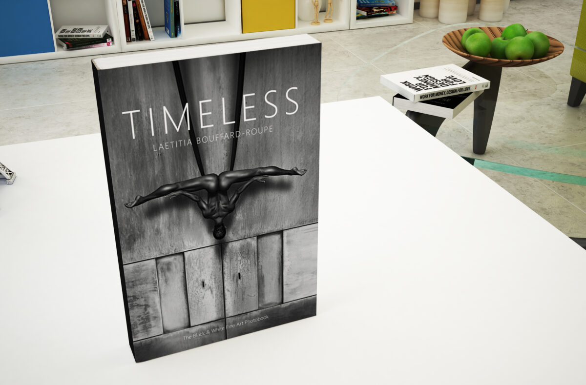 fine art book for sale